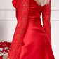 Romancia Red Long Arm Mini Dress